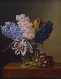Tulipes, Jacinthes et Violettes