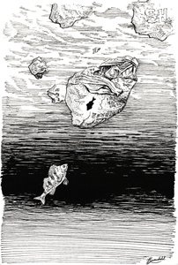 Des poissons sous le plastique