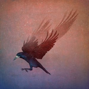 Royaume des oiseaux, 2018