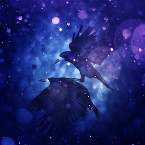 Royaume des oiseaux 3