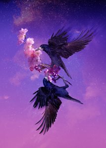 Royaume des oiseaux 5, 2018 - Johan Lilja