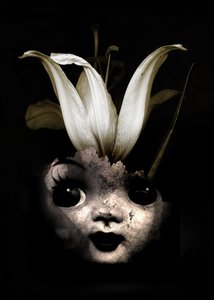 Fleur de poupée, 2013