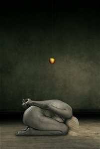 Cacher moi-même, 2013 - Johan Lilja
