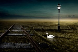 Chemin de fer, 2013 - Johan Lilja