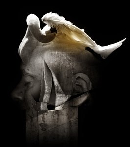 Cygne, 2013 - Johan Lilja