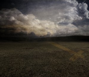 Tulipe, 2015 - Johan Lilja