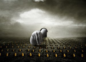 Voleur de tulipes, 2013 - Johan Lilja