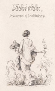 Danois : collectionneur de fleurs - Johan Lundbye