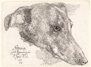 Danois : Hundehoved, Snip