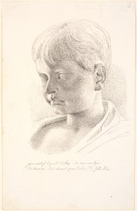 Tête de Britannicus. Profil 3/4 vers la gauche - Johan Thomas Lundbye