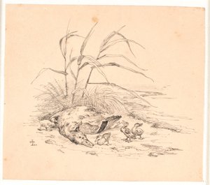 Le canard sauvage tué. Illustration pour "Fabler for Børn" de Kaalund. - Johan Thomas Lundbye
