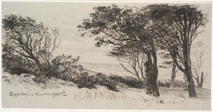 Arbres battus par le vent. Vejrhøj - Johan Thomas Lundbye