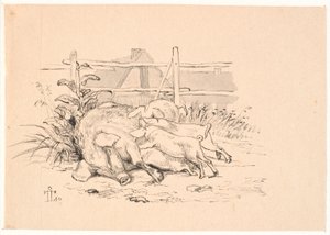 Les cochons