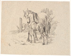 Le cheval et le poulain