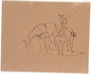 Attelage de chevaux