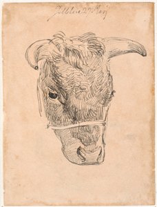 Tête de vache - Johan Thomas Lundbye