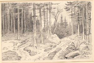 Chemin creux à travers une forêt de sapins - Johan Thomas Lundbye