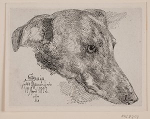 Tête de chien, Snip - Johan Thomas Lundbye