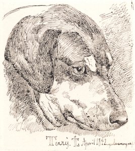 Tête de chien, Terry - Johan Thomas Lundbye