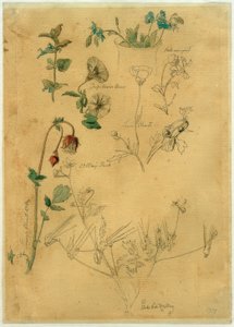 J. Th. Lundbye, étude de plantes - Johan Thomas Lundbye