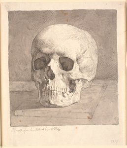 Crâne, vue de face