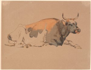 Vache couchée rouge et noire