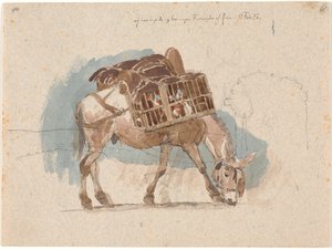 Mulet avec panier à poules