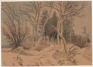 Routes enneigées entre sapins et arbres nus - Johan Thomas Lundbye
