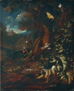 Paysage avec reptiles et insectes (I)