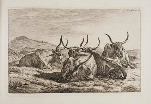 Bœufs couchés - Johann Adam Klein