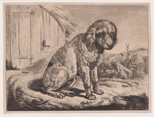 Chien assis - Johann Adam Klein
