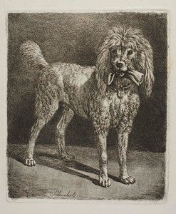  - Johann Adam Klein