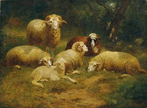 Moutons - Johann Baptist Hofner