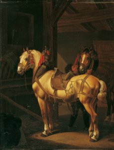 Deux chevaux de trait dans l