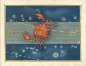Cancer - Johann Bayer - Johann Bayer