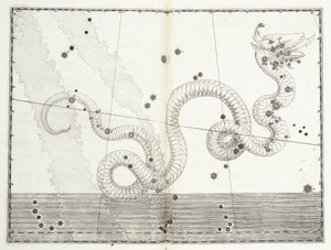 Constellation de Serpens Caput et Serpens Cauda, vers 1603 - Johann Bayer