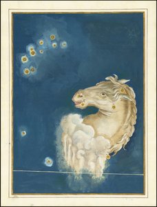 Equuleus - Johann Bayer - Johann Bayer