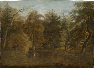 Paysage forestier avec un étang