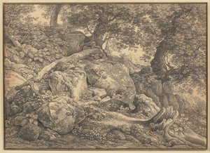 Versant avec des blocs rocheux et des oliviers dans le parc des princes Chigi à Ariccia - Johann Christian Reinhart