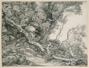  - Johann Christian Reinhart