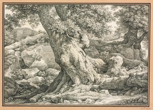  - Johann Christian Reinhart