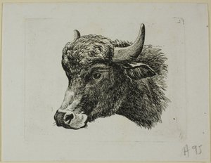 Tête de buffle tournée vers la gauche, de Die Zweite Thierfolge - Johann Christian Reinhart