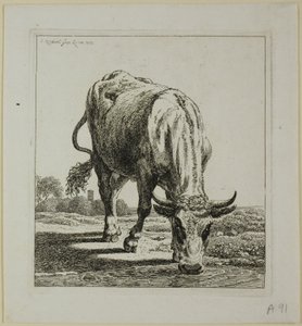 Vache buvant, de Die Zweite Thierfolge - Johann Christian Reinhart