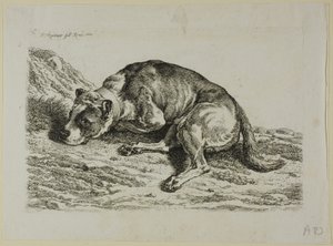 Chien couché, de Die Zweite Thierfolge