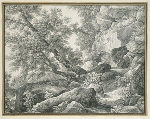 Paysage rocheux avec arbres - Johann Christian Reinhart