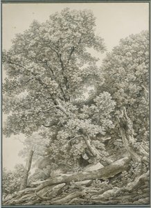  - Johann Christian Reinhart