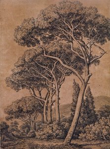 J C Reinhart Pin parasol 1791 - Johann Christian Reinhart