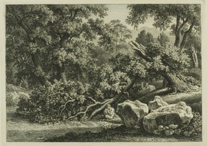 Paysage avec Pan jouant de la flûte - Johann Christian Reinhart