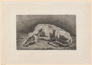 Lévrier endormi - Johann Christian Reinhart