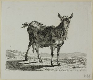 Chèvre Debout, de Die Zweite Thierfolge - Johann Christian Reinhart